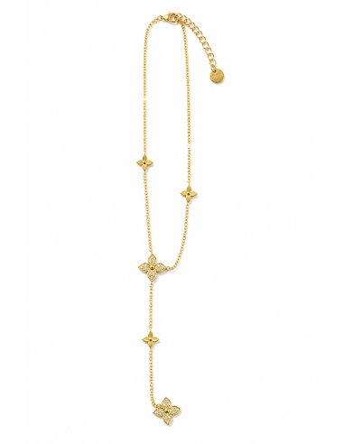 COLLAR ASTRO